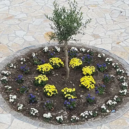 Arion-thale Appartamento *