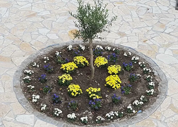 Arion-thale アパート *