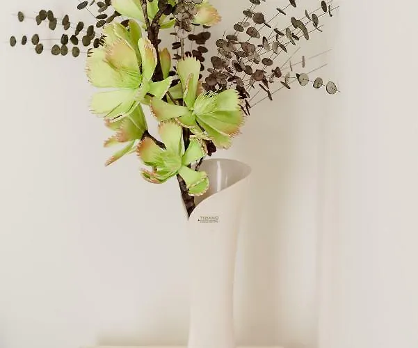 アパート Arion-thale *